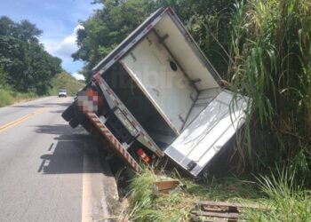 Dois mil kg Caminhão carregado de carnes é saqueado após tombar na