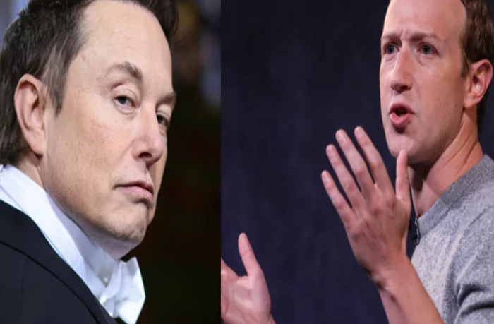 Elon Musk Anuncia Que Luta Contra Mark Zuckerberg Será Transmitida Ao Vivo Veja Itabira Online 3092